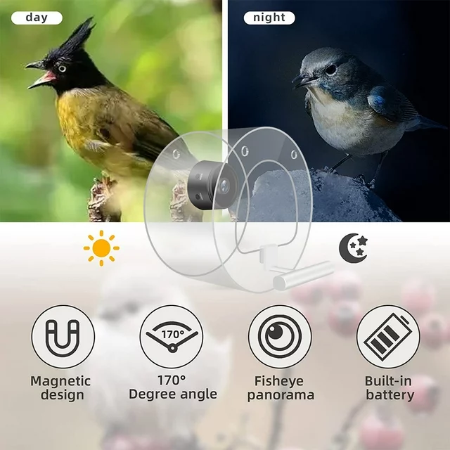 Smart Bird Feeder With Camera