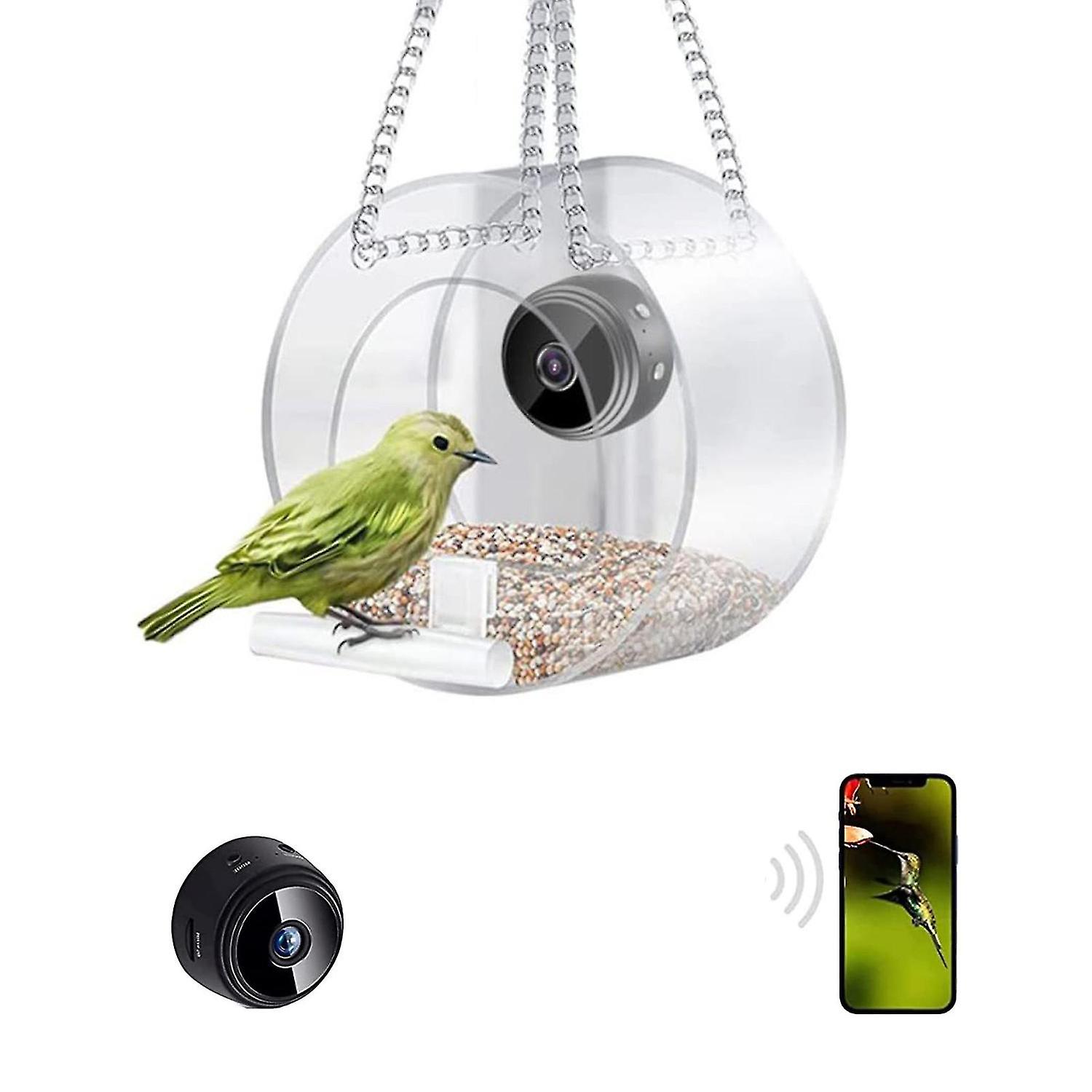 Smart Bird Feeder With Camera