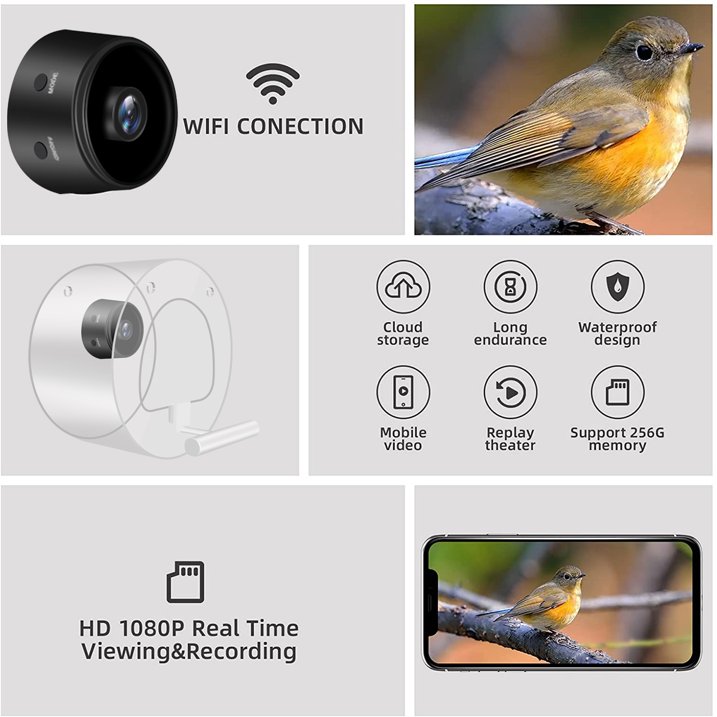 Smart Bird Feeder With Camera