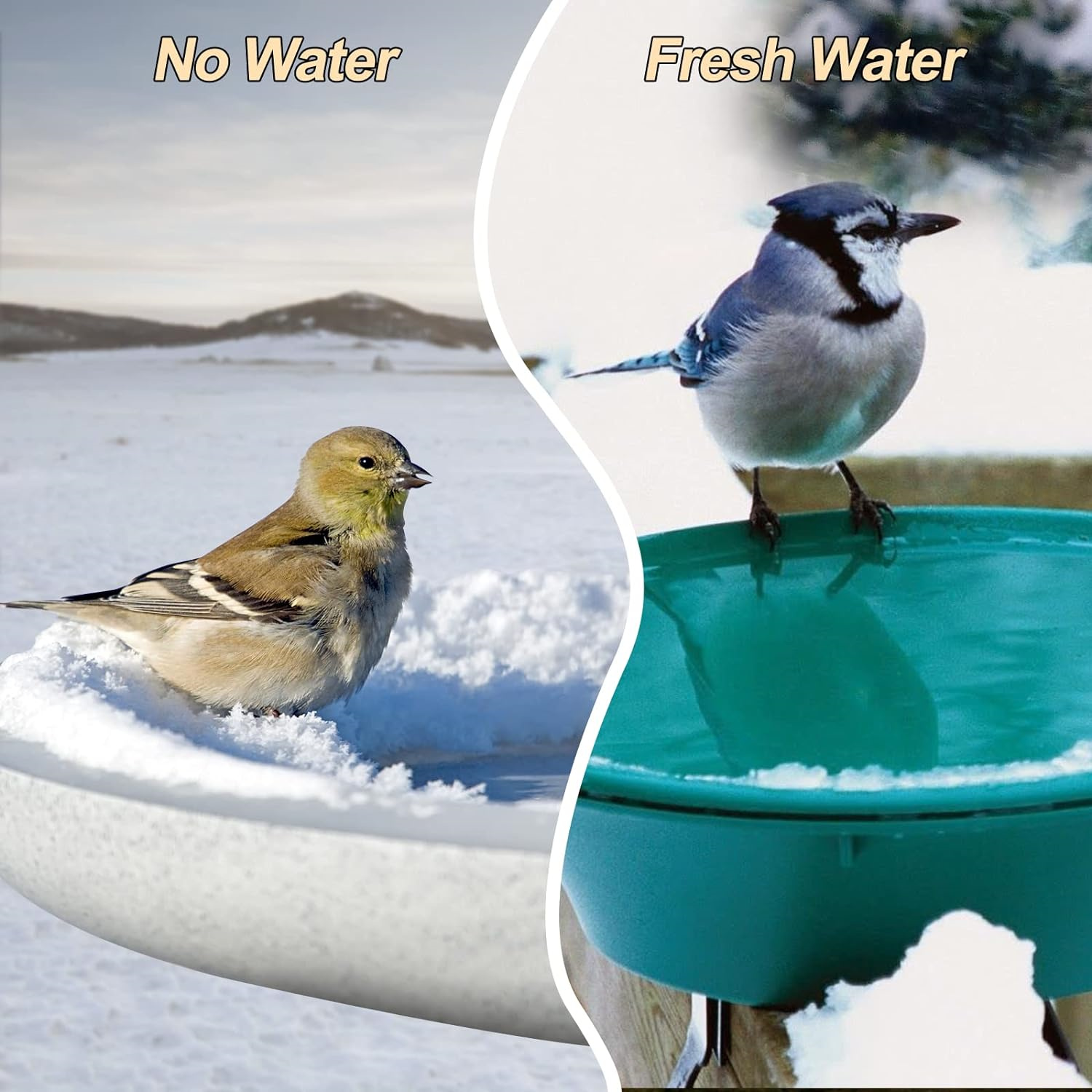 Upgrade Bird Bath Heater for Outdoors in Winter, Thermostatically Controlled, No Water Scale Formation