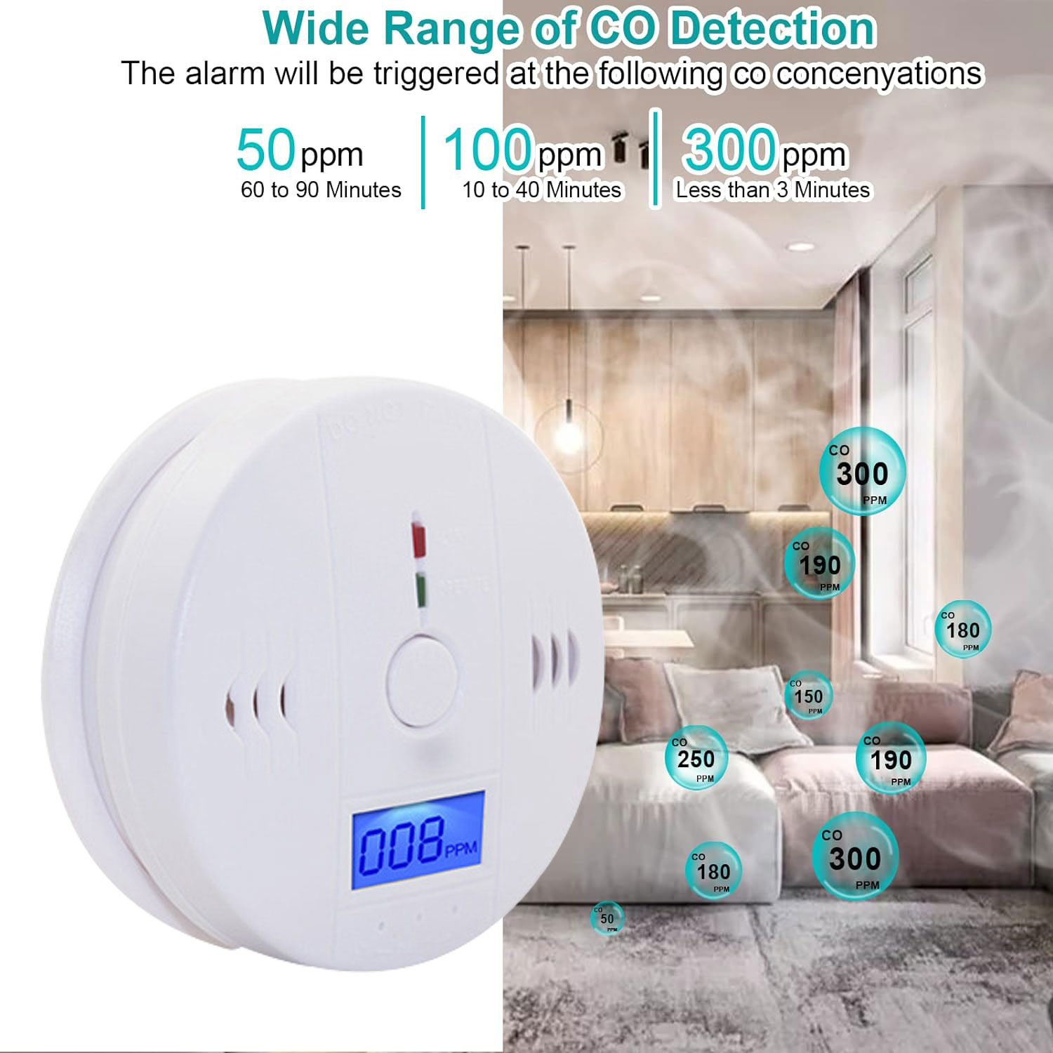 Carbon Monoxide Detector