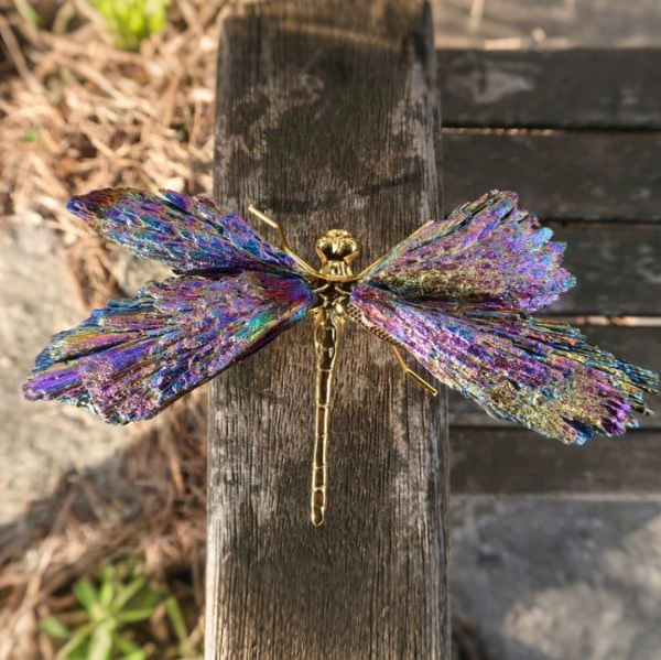 🔥BIG SALE - 49% OFF🔥💥AURA TOURMALINE KYANITE DRAGONFLY💥