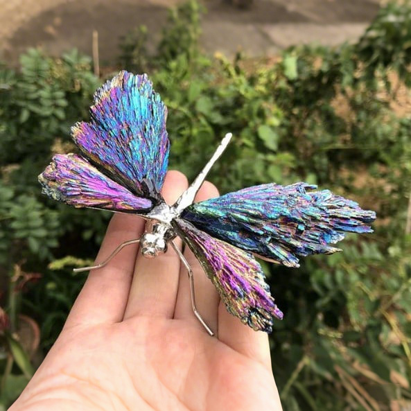 🔥BIG SALE - 49% OFF🔥💥AURA TOURMALINE KYANITE DRAGONFLY💥