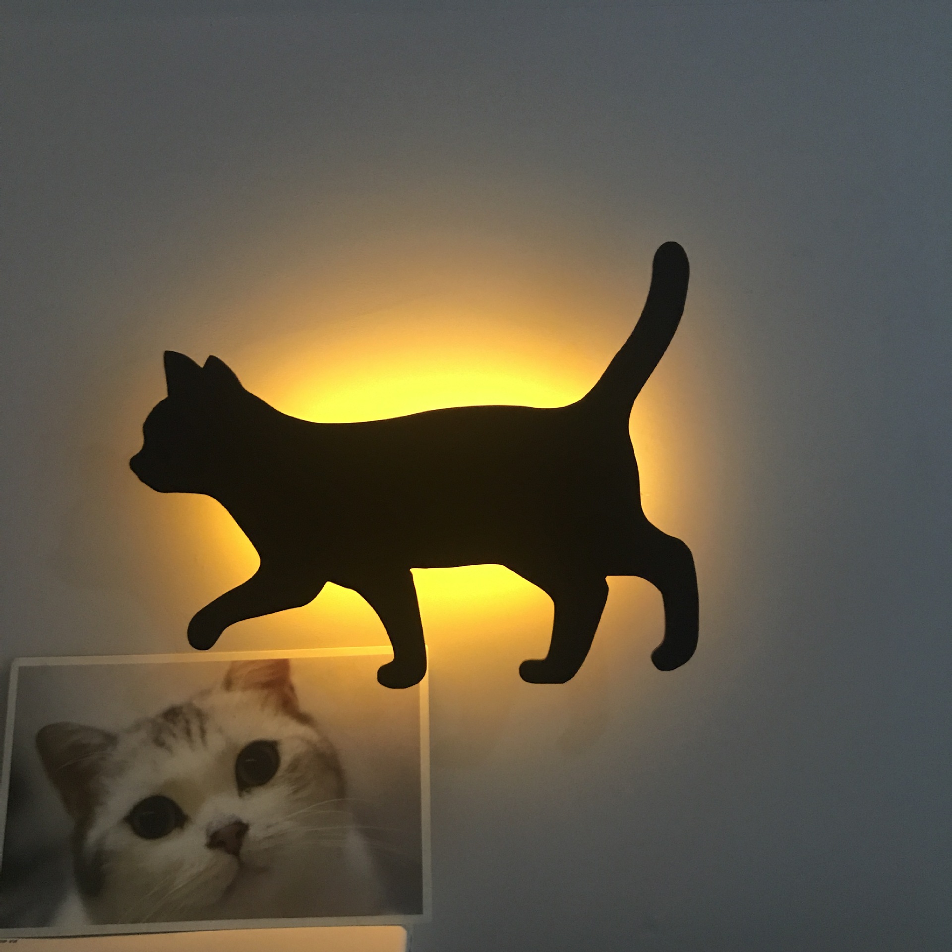 LED Animal Dog Cat Night Light Kitten Smart Sound Sensor