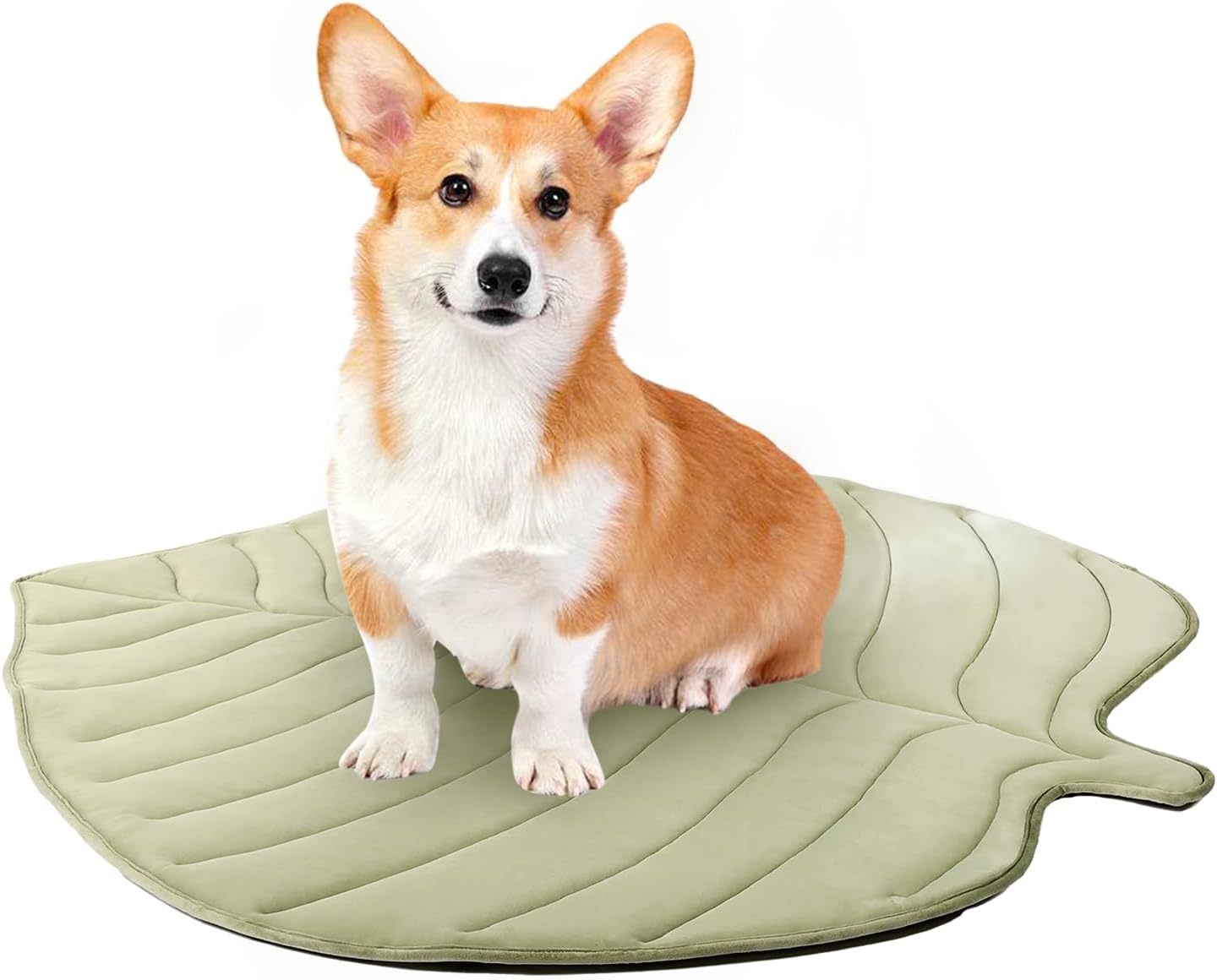 Dog Cooling Eco-friendly Mat