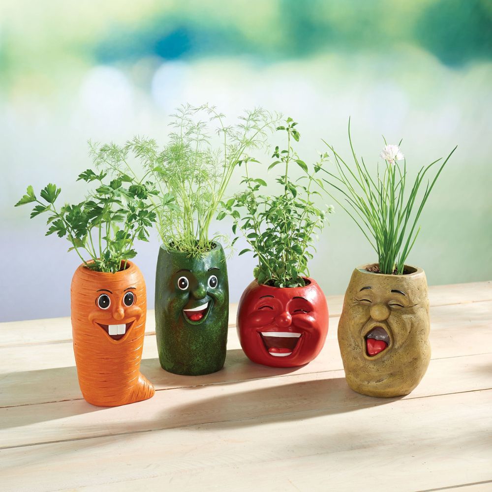 🥕 Funny Face Vegetable Planters – Whimsical Garden Decor 🌱✨