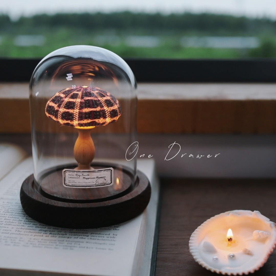 Easy Coastal Charm DIY Seashell Nightlight Kit