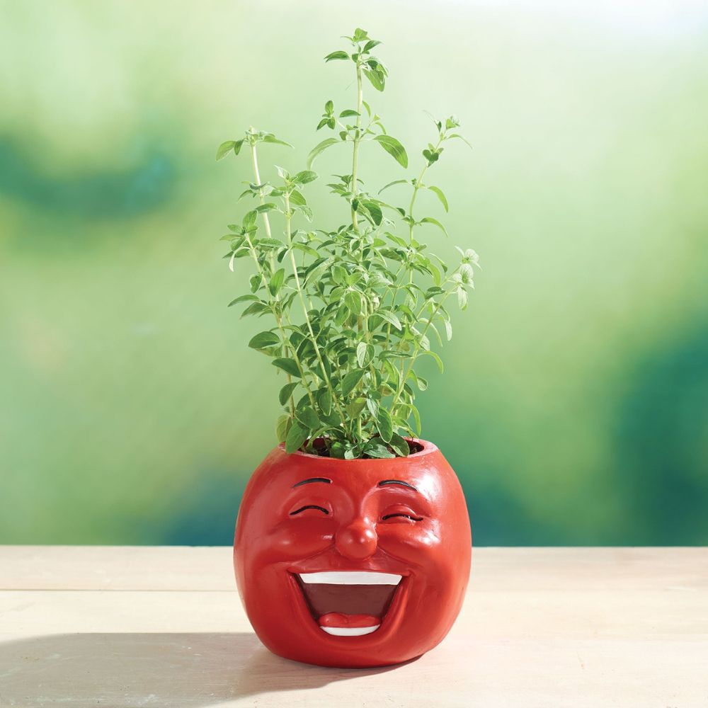 🥕 Funny Face Vegetable Planters – Whimsical Garden Decor 🌱✨