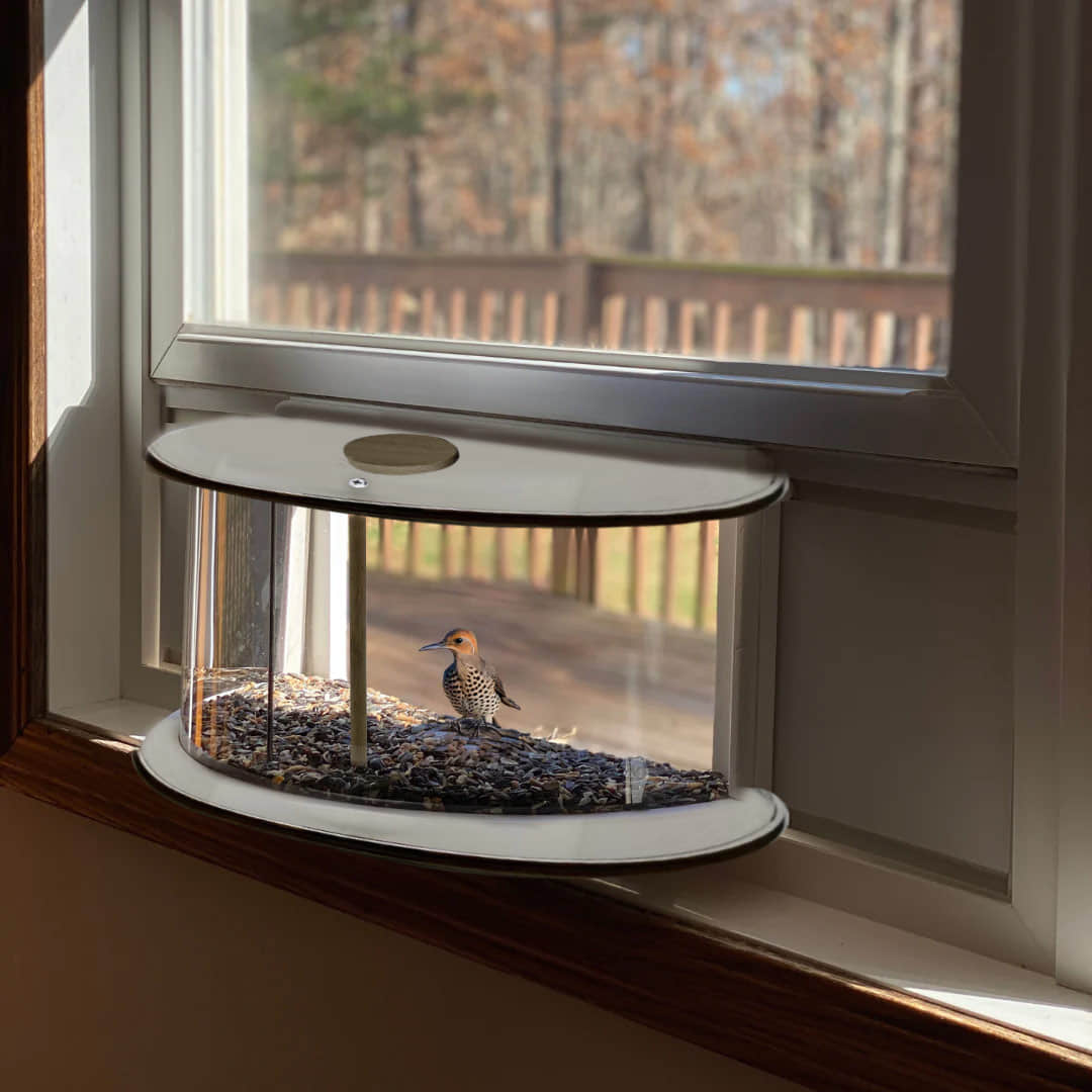 Watch Birds from Home: Install in 5 Minutes, Enjoy the View for Years to Come