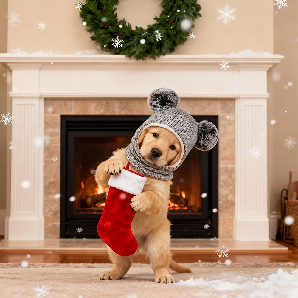 Dog Winter Hat with Pom Poms