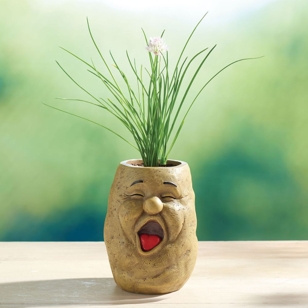 🥕 Funny Face Vegetable Planters – Whimsical Garden Decor 🌱✨