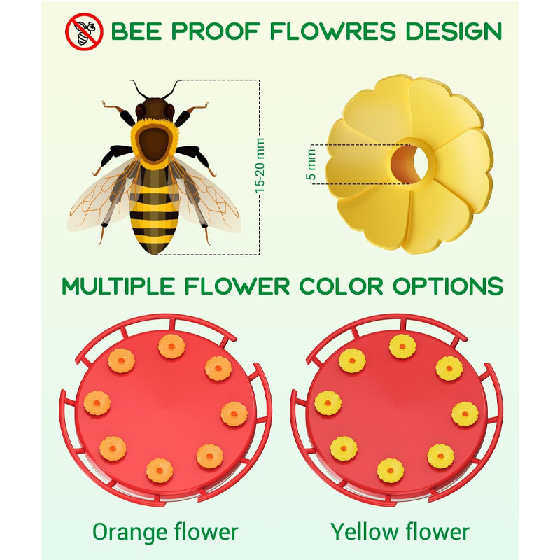 Hummingbird Feeders for Outdoors