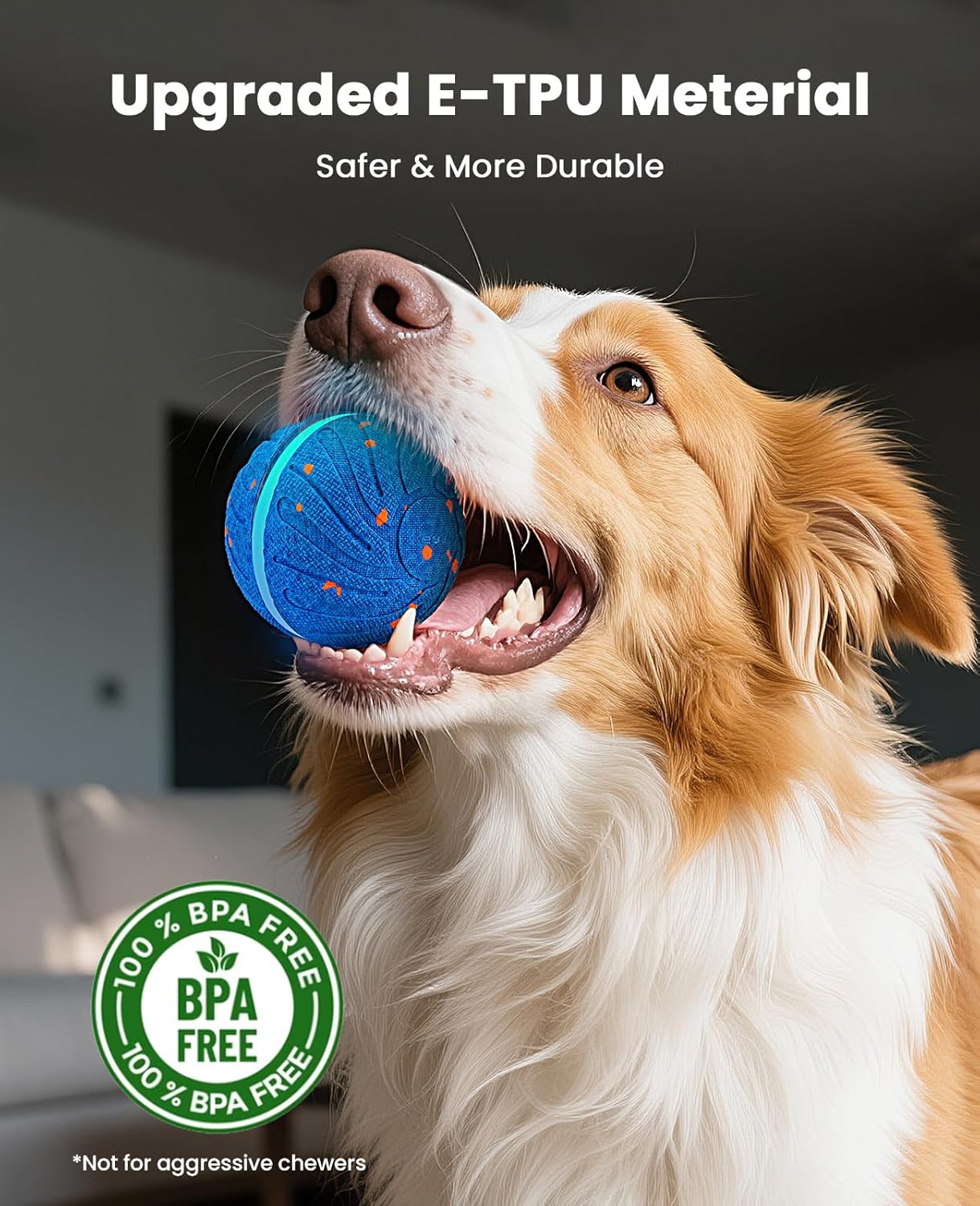 Smart Interactive Dog Balls