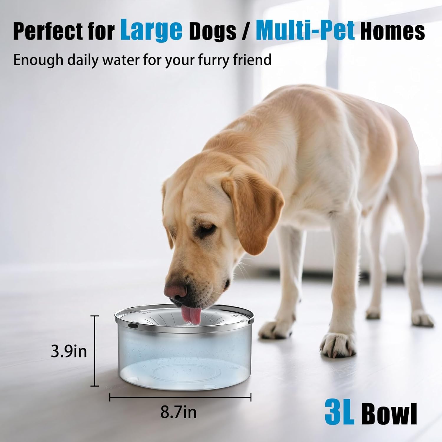 Dog Water Bowl No Spill