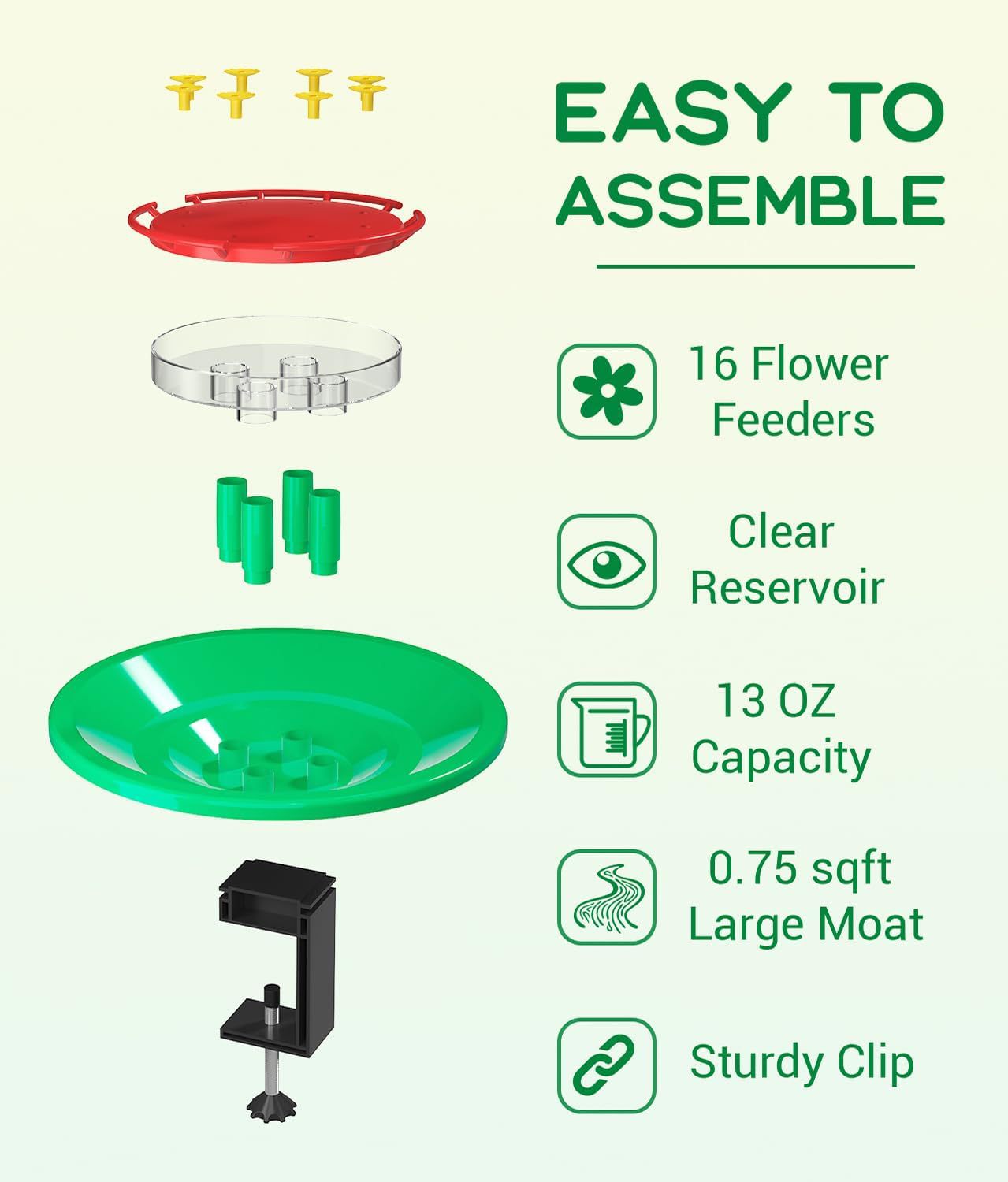 Hummingbird Feeders for Outdoors