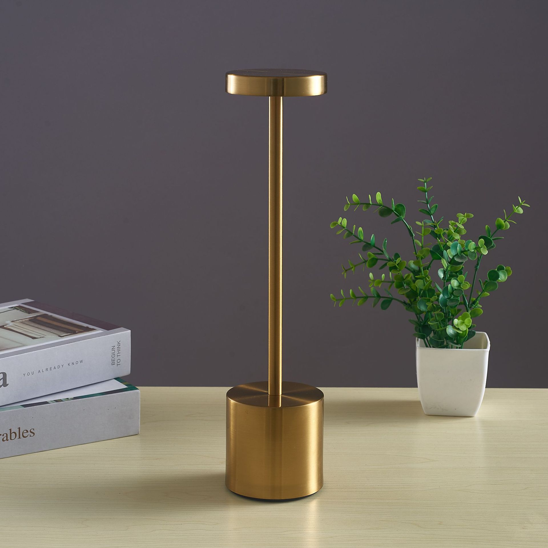 Cordless Dimmable Metal Table Lamp