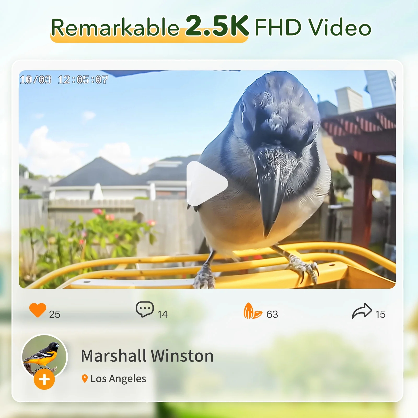 🐦 Smart Bird Feeder with Camera – Your Backyard Bird-Watching Studio ✨