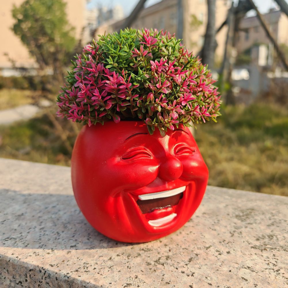 🥕 Funny Face Vegetable Planters – Whimsical Garden Decor 🌱✨