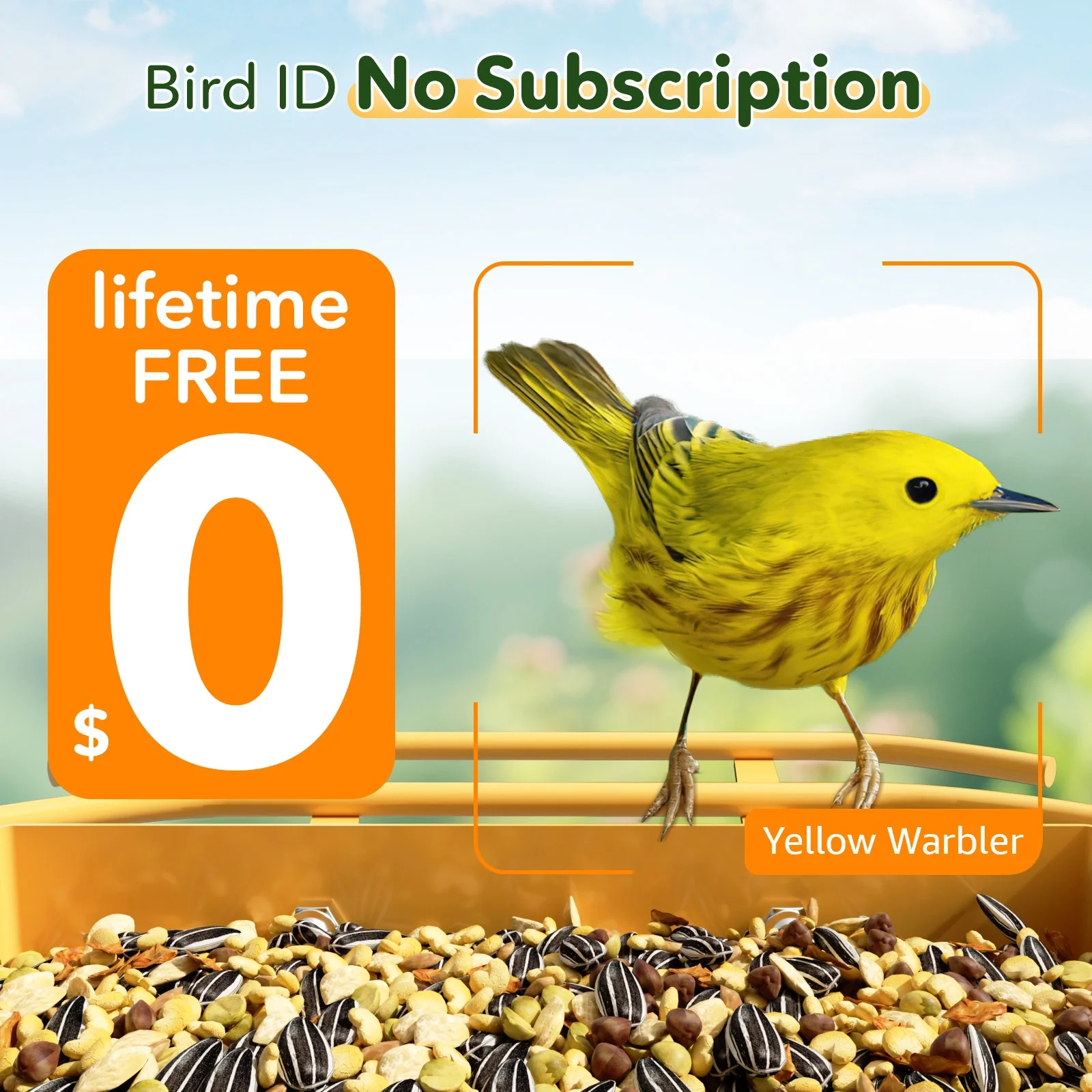 🐦 Smart Bird Feeder with Camera – Your Backyard Bird-Watching Studio ✨