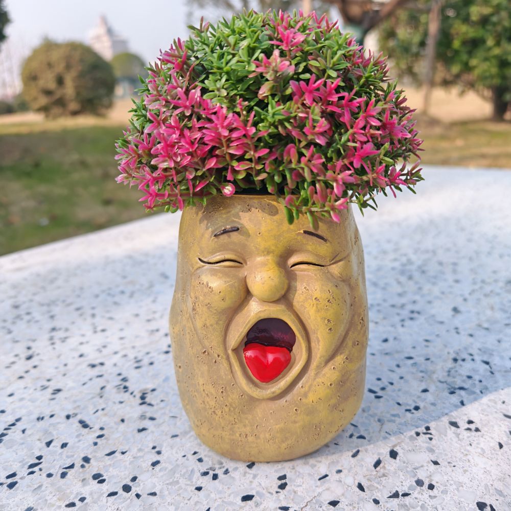 🥕 Funny Face Vegetable Planters – Whimsical Garden Decor 🌱✨