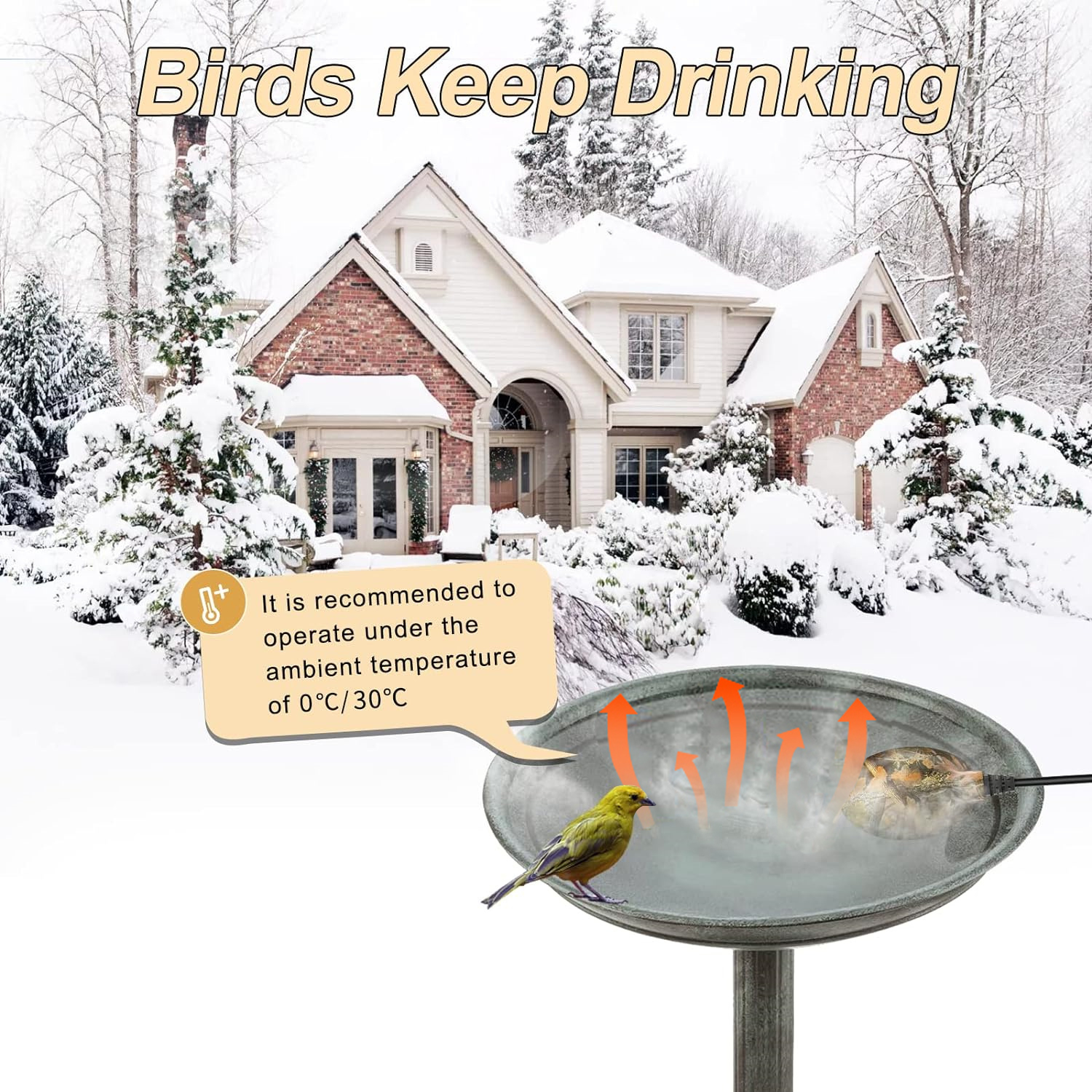 Upgrade Bird Bath Heater for Outdoors in Winter, Thermostatically Controlled, No Water Scale Formation