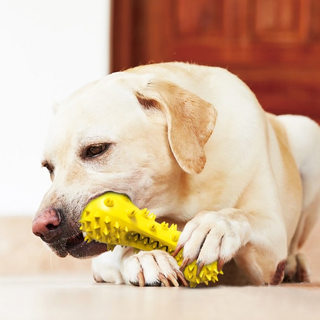 🐶Newest Chewable Teeth Cleaning Toys for Dogs