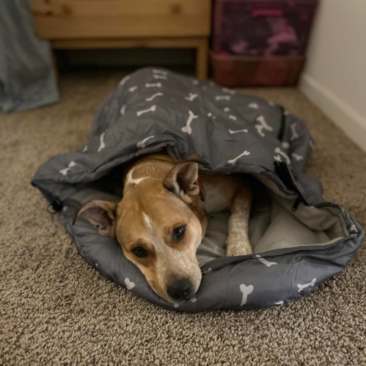 Dog Sleeping Bag Waterproof Warm Packable Dog Bed Mat