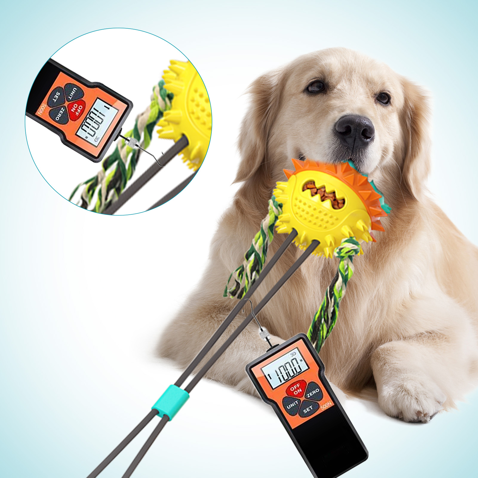 Suction cup toys for dogs who like to chew