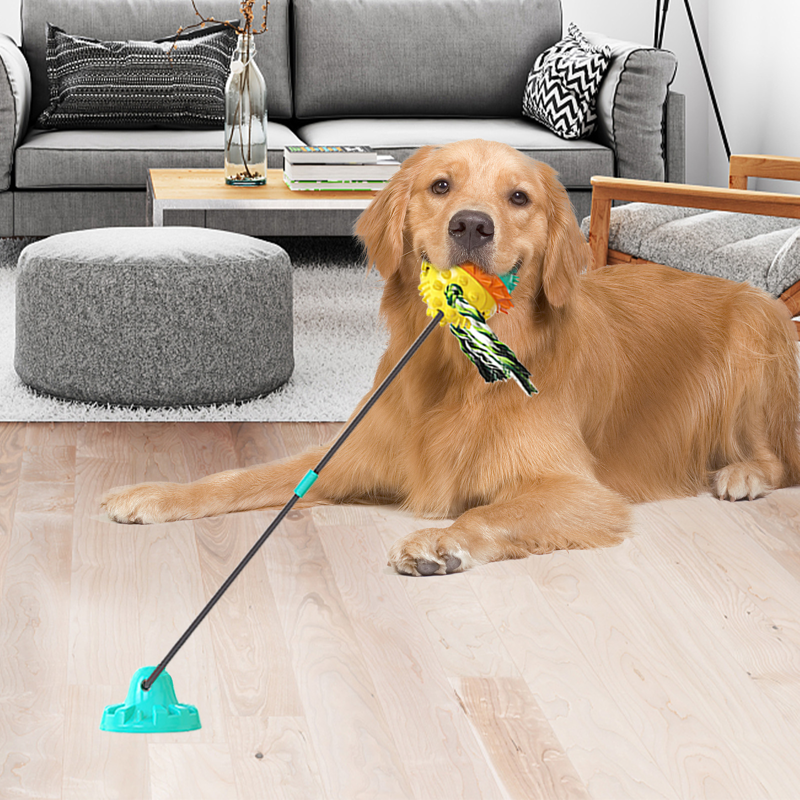 Suction cup toys for dogs who like to chew