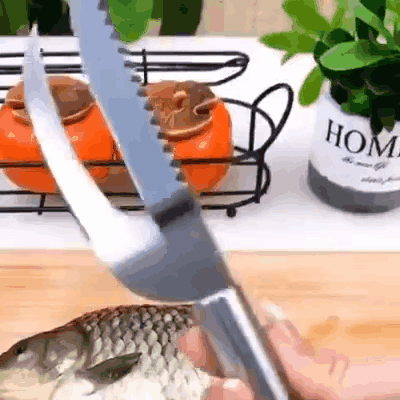 Stainless steel fish scaler | FISHBLADE