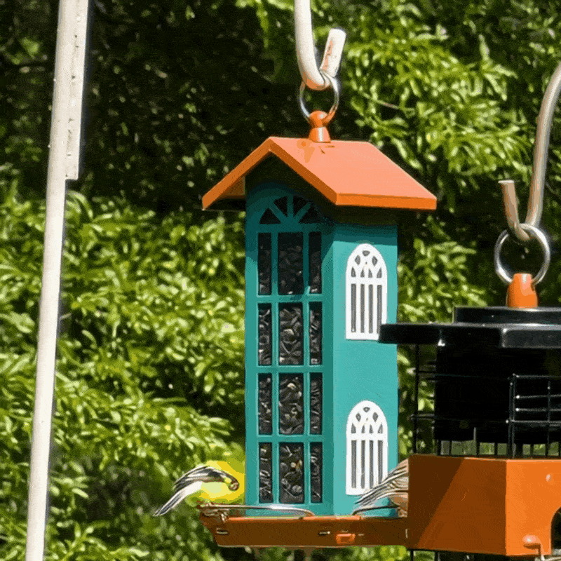 🏡 House-Shaped Bird Feeder – Charming Garden Bird Watching Haven 🐦✨