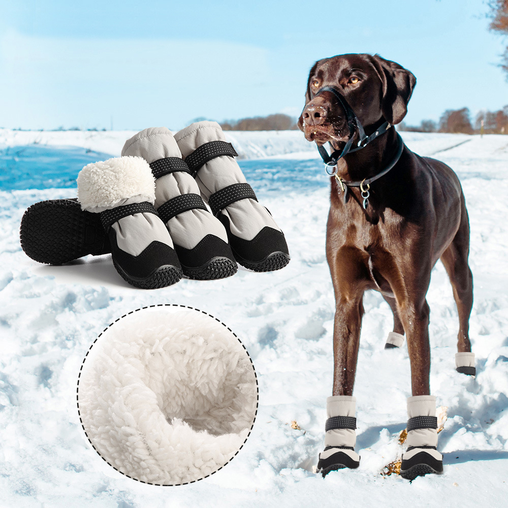 ❄️Dog Snow Boots Winter