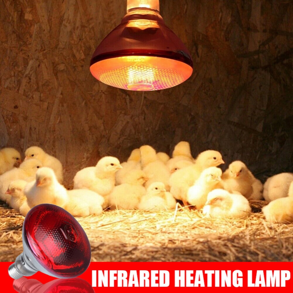 IR red brooder infra Heating lamp for Reptile 2 Pack