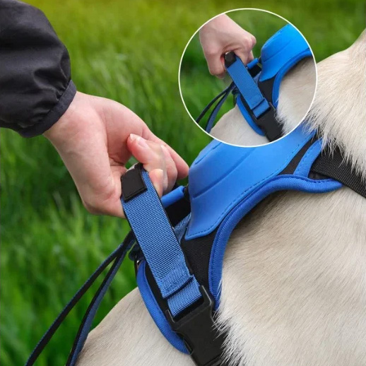 🔥HOT SALE - Dog Harness and Retractable Leash Set All-in-One