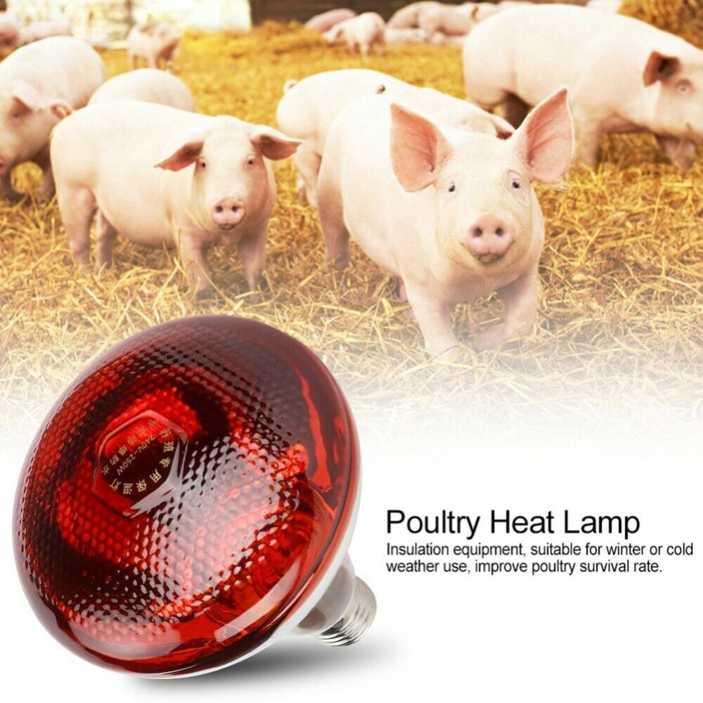 IR red brooder infra Heating lamp for Reptile 2 Pack