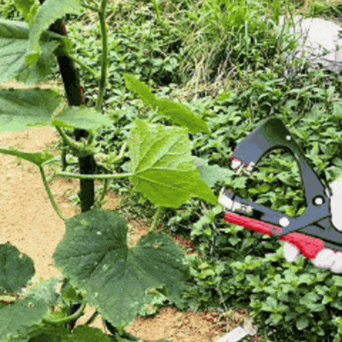 🌱 All-in-One Plant Tying Tool – Fast, Easy Garden & Vine Support ✨
