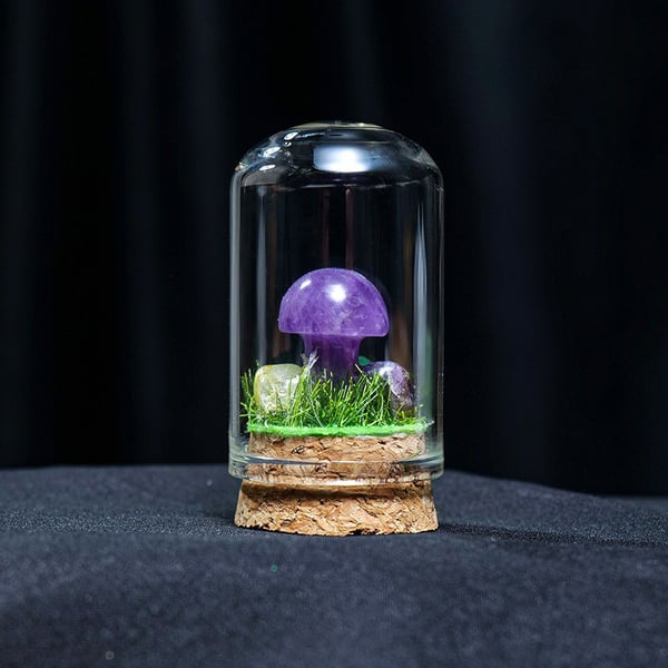 🍄Mini Crystal Mushroom Terrariums| Choose Your Natural crystal Mushroom
