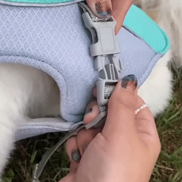 🔥 Ice Cooling Dog Protective Vest