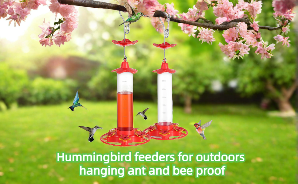 Hummingbird Feeders