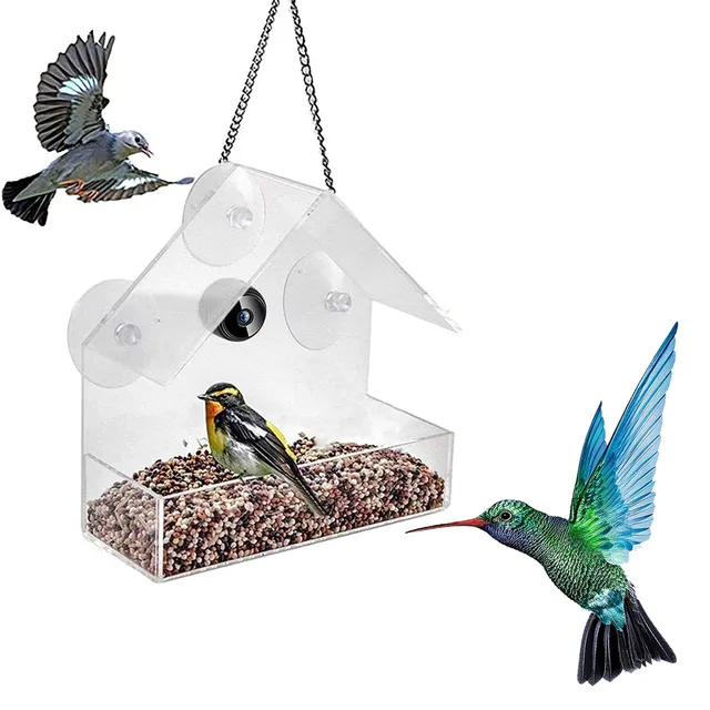 Smart Bird Feeder With Camera