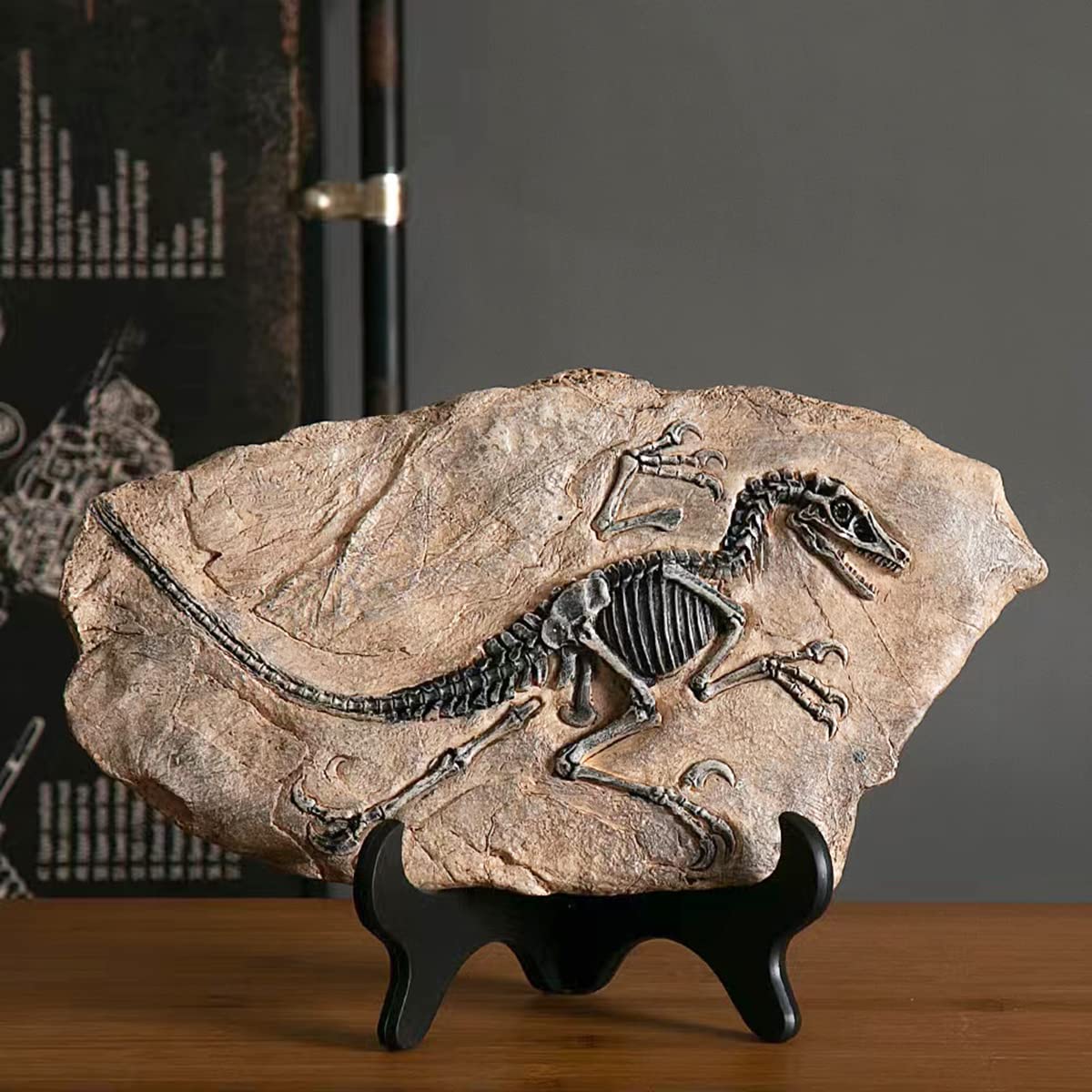 🦖Dinosaur Fossil Decor Statue