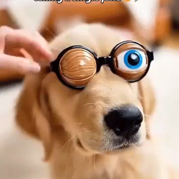 🔥"Crazy Winking" Prank Glasses