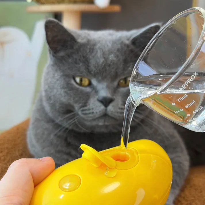 🔥Sale 49% OFF  - Cat & Dog Steamy Brush