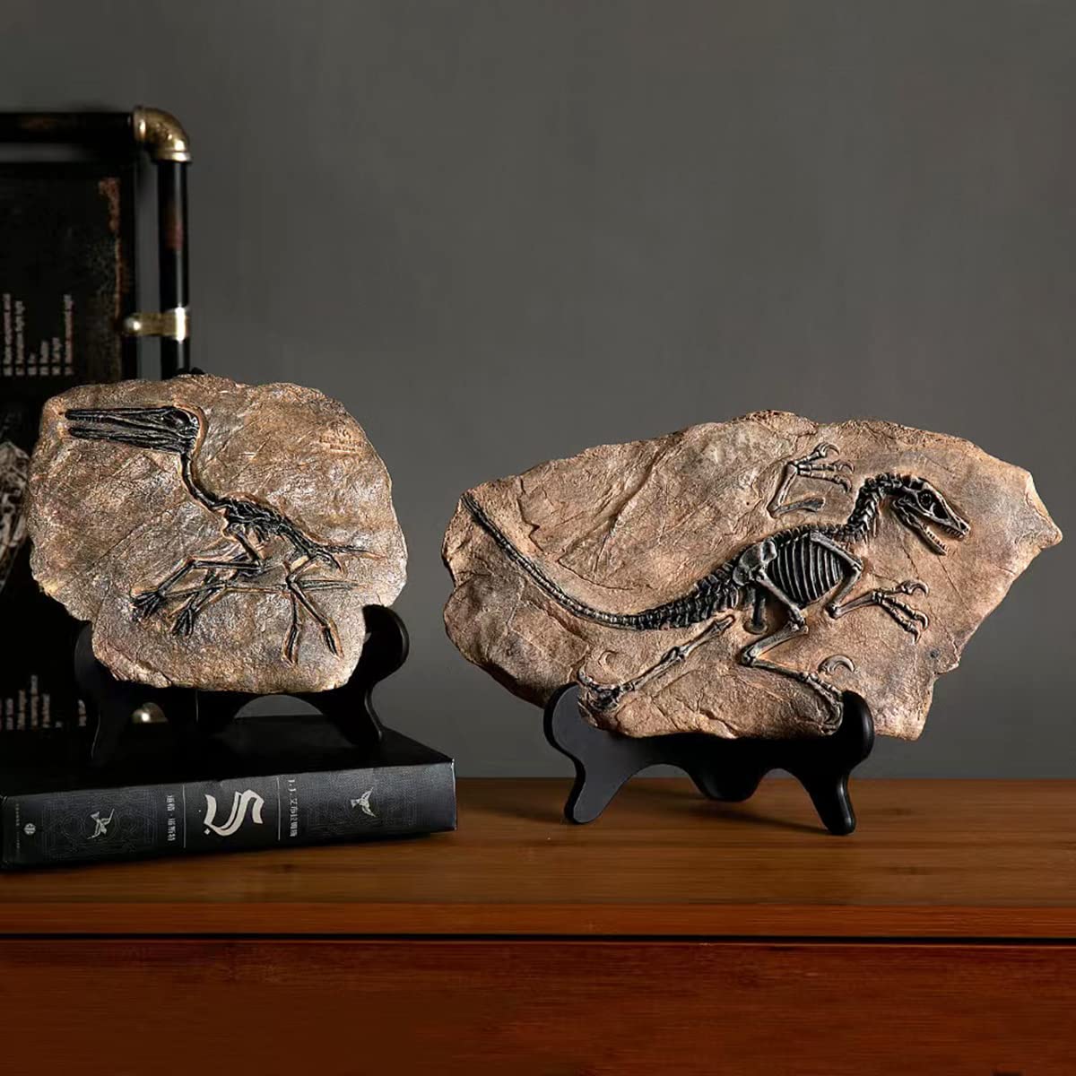 🦖Dinosaur Fossil Decor Statue
