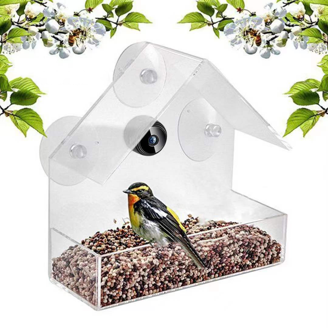 Smart Bird Feeder With Camera