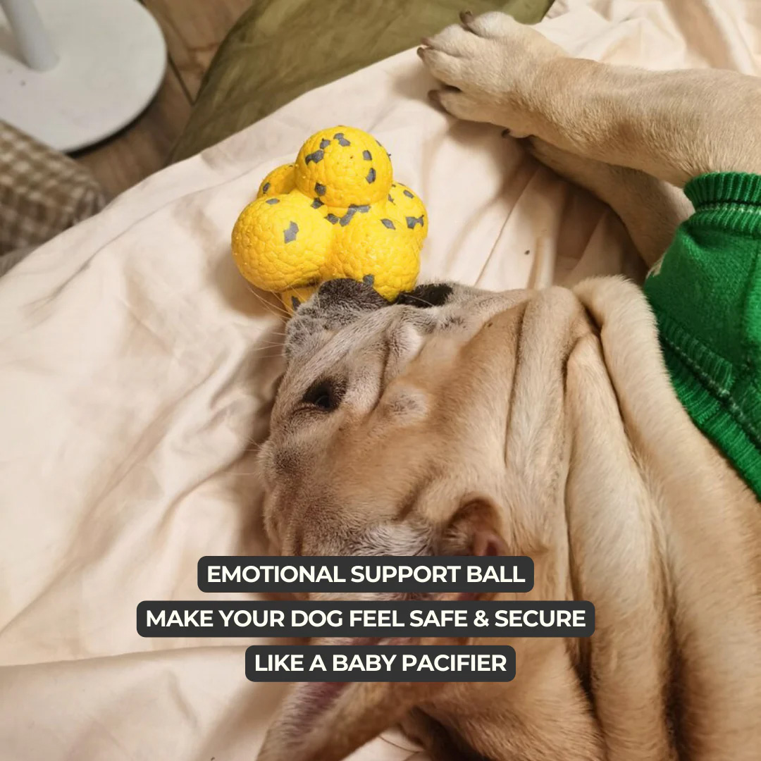 Calming Ball