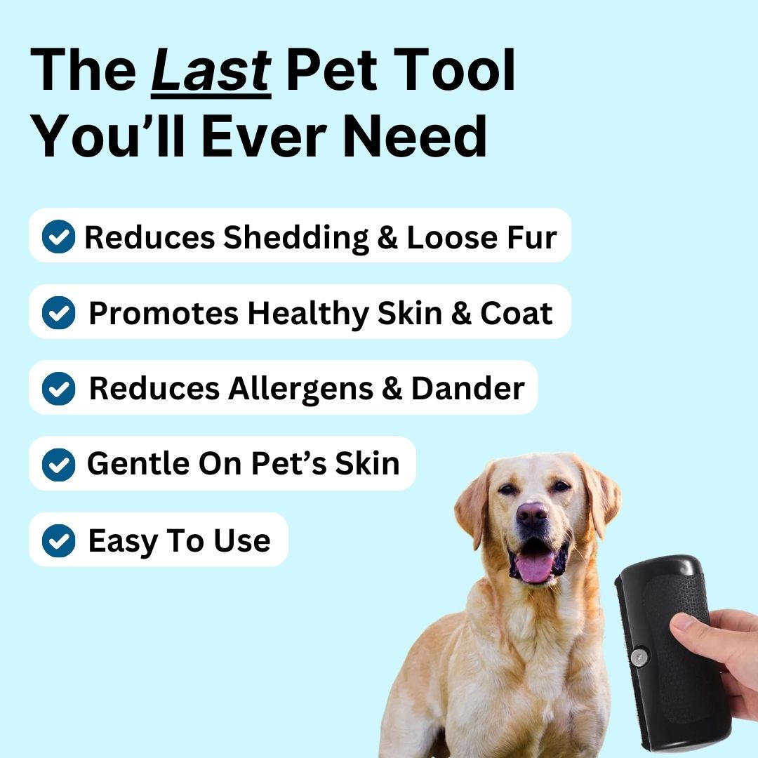 Deshedding Dog Brush