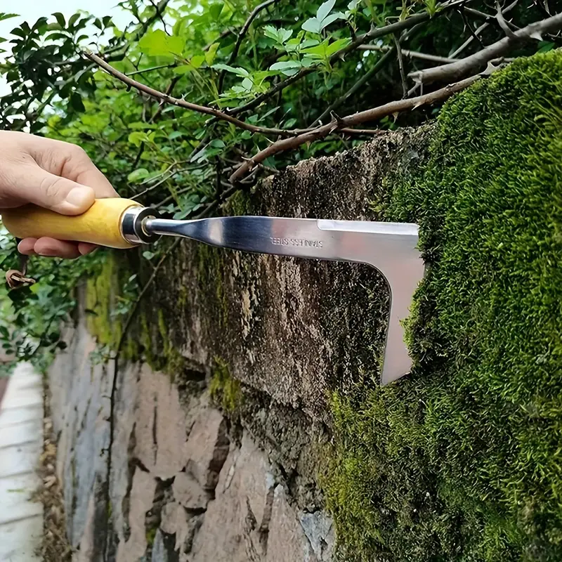 Crevice Weeding Tool Stainless Steel Manual Weeder Beech Handle Gardening Tool