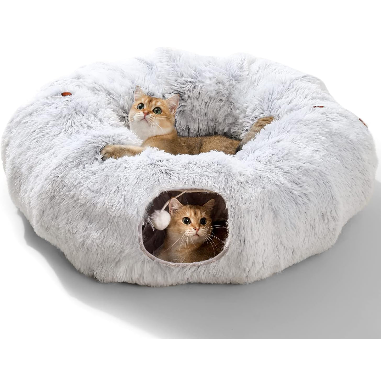 Oversized For Multiple Cats Tunnel with Cat Bed