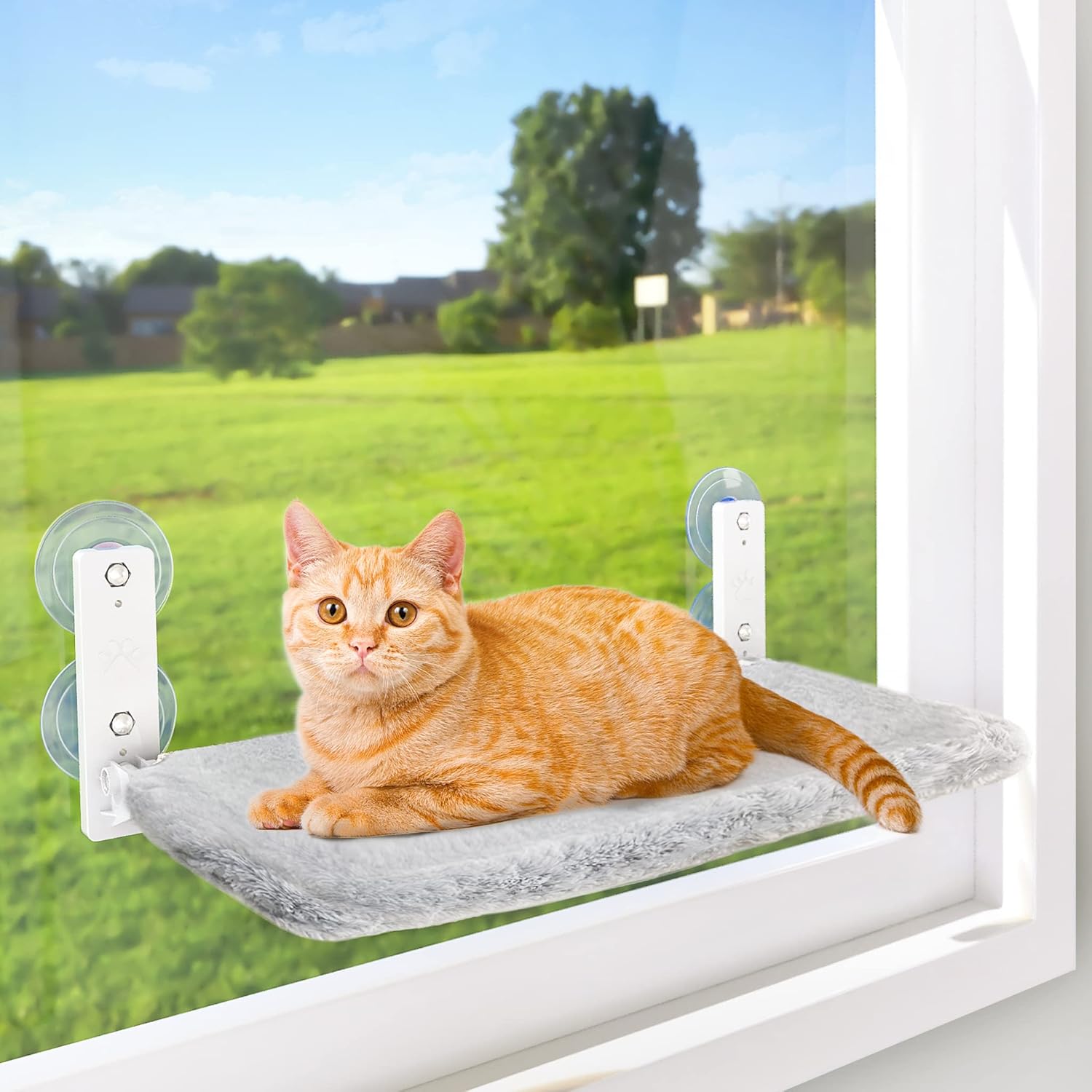 Foldable Cat Beds for Indoor Cordless Cat Window Perch